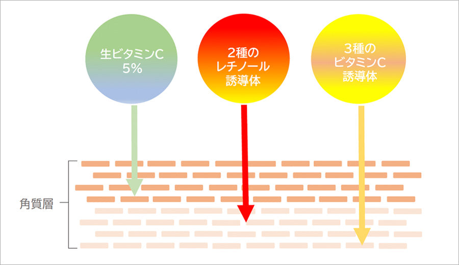 MARROW PURE C セラムウォーター 2ml×30包 詳細1