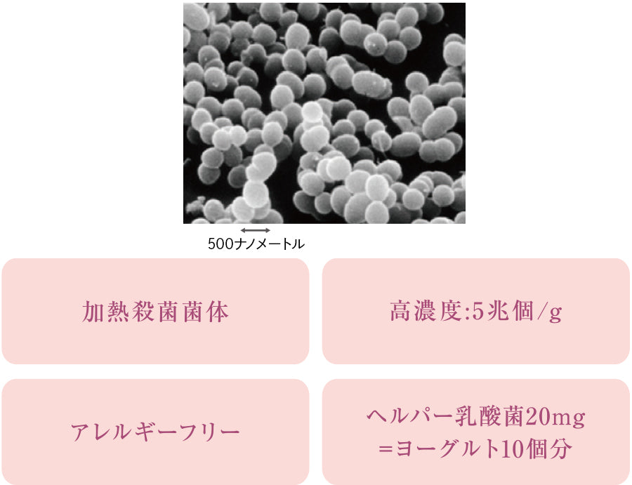 MARROW NMN PLUS PQQ 30日分 - 5